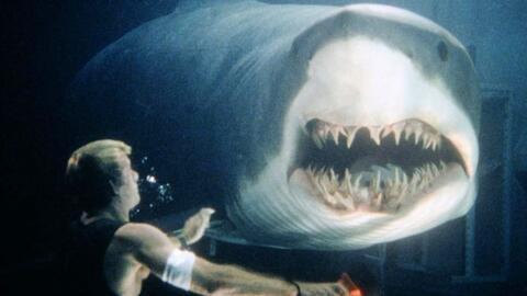 深海狂鲨在线观看免费,惊险海底探险，生死搏斗一触即发！  第2张